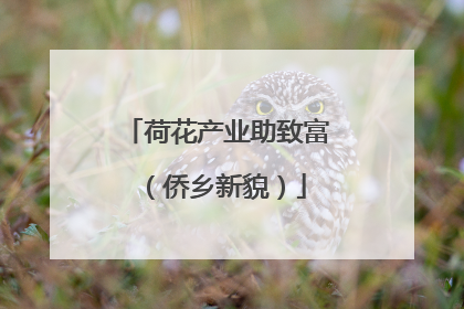 荷花产业助致富（侨乡新貌）