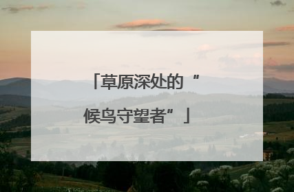 草原深处的“候鸟守望者”