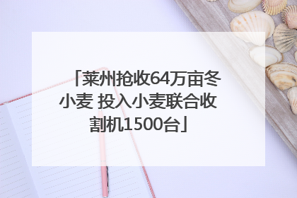 莱州抢收64万亩冬小麦 投入小麦联合收割机1500台