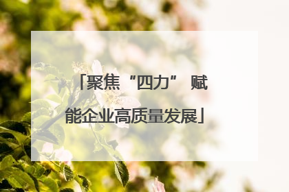 聚焦“四力” 赋能企业高质量发展
