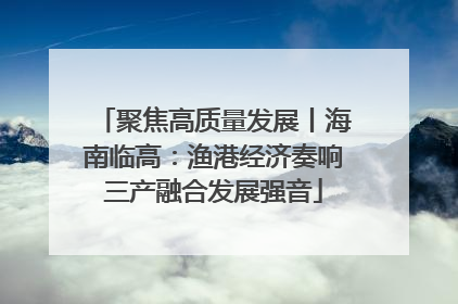聚焦高质量发展丨海南临高：渔港经济奏响三产融合发展强音
