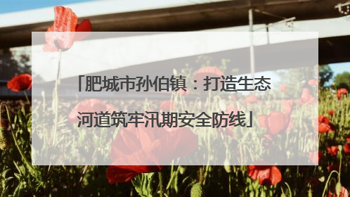 肥城市孙伯镇：打造生态河道筑牢汛期安全防线