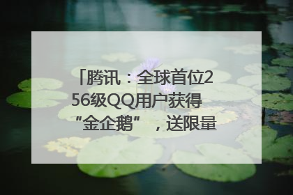 腾讯：全球首位256级QQ用户获得“金企鹅”，送限量版神秘惊喜等礼物