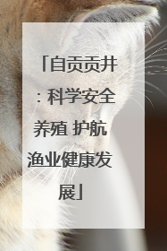 自贡贡井：科学安全养殖 护航渔业健康发展