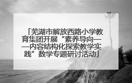 芜湖市解放西路小学教育集团开展“素养导向——内容结构化探索教学实践”数学专题研讨活动