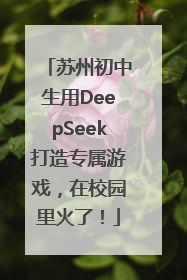 苏州初中生用DeepSeek打造专属游戏，在校园里火了！