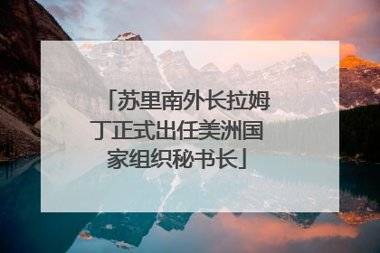 苏里南外长拉姆丁正式出任美洲国家组织秘书长