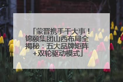 蒙晋携手干大事！锦颐集团山西布局全揭秘：五大品牌矩阵+双轮驱动模式