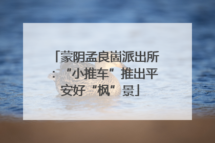 蒙阴孟良崮派出所：“小推车”推出平安好“枫”景