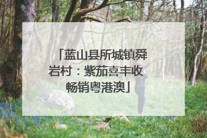 蓝山县所城镇舜岩村：紫茄喜丰收 畅销粤港澳