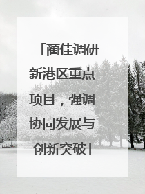 蔺佳调研新港区重点项目，强调协同发展与创新突破