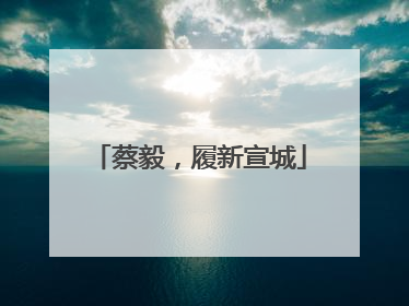 蔡毅，履新宣城