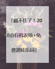 藏不住了！200亩有机农场+免费遛娃乐园