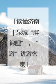 读懂济南｜泉城“胖锦鲤”，“游”进游客家