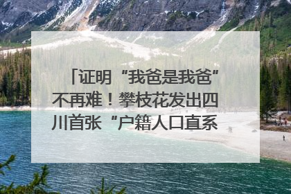 证明“我爸是我爸”不再难！攀枝花发出四川首张“户籍人口直系亲属关系谱”