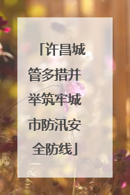 许昌城管多措并举筑牢城市防汛安全防线