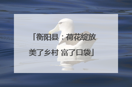 衡阳县：荷花绽放 美了乡村 富了口袋