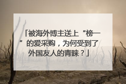 被海外博主送上“榜一”的爱采购，为何受到了外国友人的青睐？