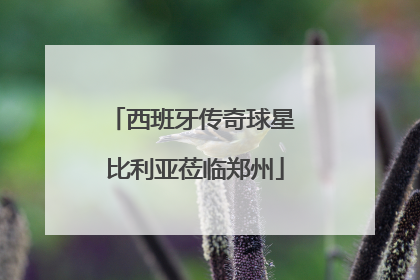 西班牙传奇球星 比利亚莅临郑州
