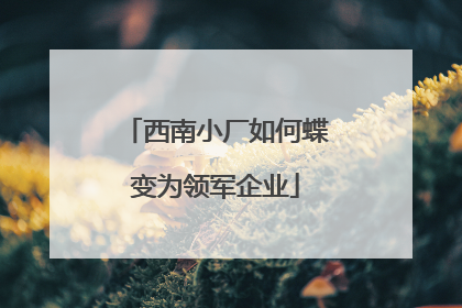 西南小厂如何蝶变为领军企业