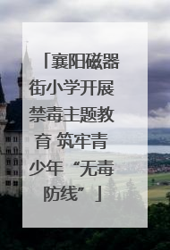 襄阳磁器街小学开展禁毒主题教育 筑牢青少年“无毒防线”