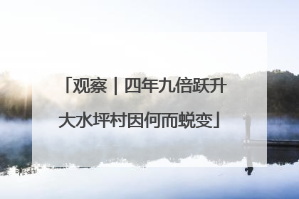 观察｜四年九倍跃升 大水坪村因何而蜕变
