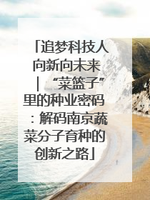 追梦科技人 向新向未来｜“菜篮子”里的种业密码：解码南京蔬菜分子育种的创新之路