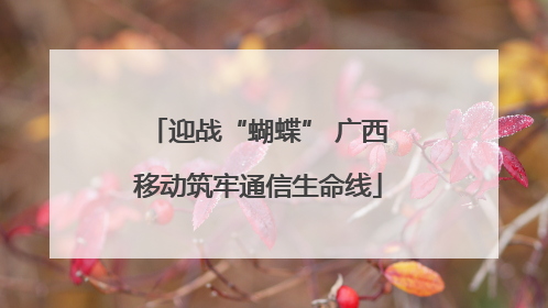 迎战“蝴蝶” 广西移动筑牢通信生命线