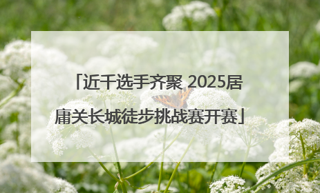 近千选手齐聚 2025居庸关长城徒步挑战赛开赛