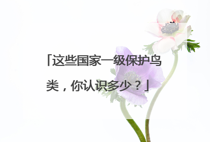 这些国家一级保护鸟类，你认识多少？