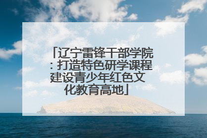 辽宁雷锋干部学院：打造特色研学课程 建设青少年红色文化教育高地