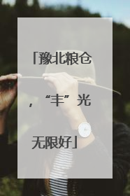 豫北粮仓，“丰”光无限好