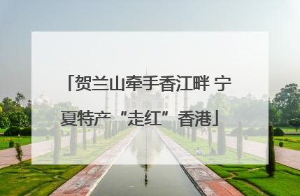 贺兰山牵手香江畔 宁夏特产“走红”香港
