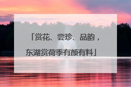 赏花、尝珍、品韵，东湖赏荷季有颜有料