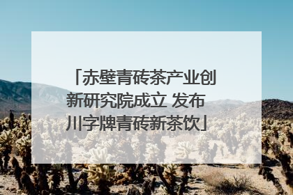 赤壁青砖茶产业创新研究院成立 发布川字牌青砖新茶饮