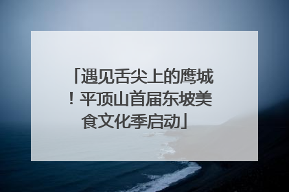 遇见舌尖上的鹰城！平顶山首届东坡美食文化季启动