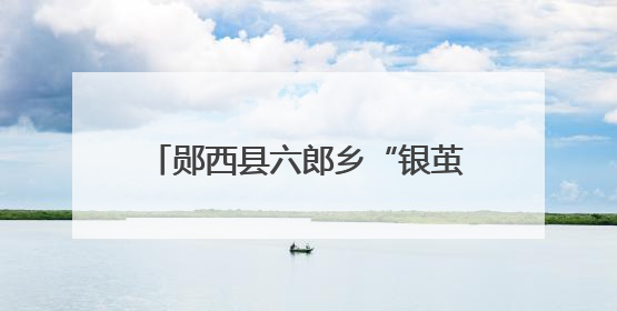 郧西县六郎乡“银茧”织就振兴“金路”