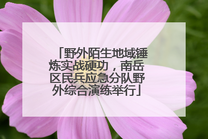 野外陌生地域锤炼实战硬功，南岳区民兵应急分队野外综合演练举行