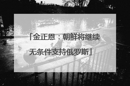 金正恩：朝鲜将继续无条件支持俄罗斯