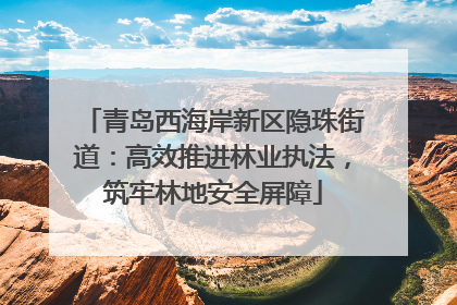 青岛西海岸新区隐珠街道：高效推进林业执法，筑牢林地安全屏障