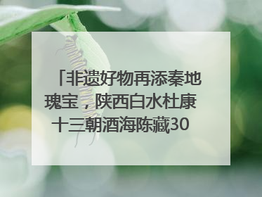 非遗好物再添秦地瑰宝，陕西白水杜康十三朝酒海陈藏30年别具一格