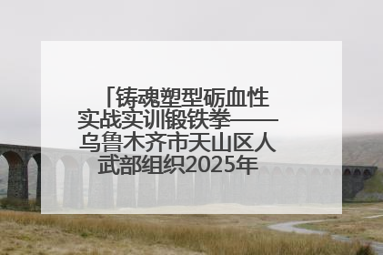 铸魂塑型砺血性 实战实训锻铁拳——乌鲁木齐市天山区人武部组织2025年度民兵集中轮训