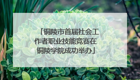 铜陵市首届社会工作者职业技能竞赛在铜陵学院成功举办