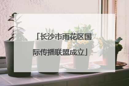 长沙市雨花区国际传播联盟成立