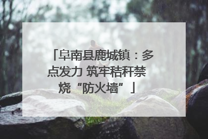 阜南县鹿城镇：多点发力 筑牢秸秆禁烧“防火墙”