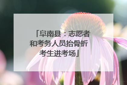 阜南县：志愿者和考务人员抬骨折考生进考场