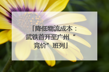 降低物流成本：武铁首开至广州“竞价”班列