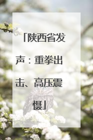 陕西省发声：重拳出击、高压震慑