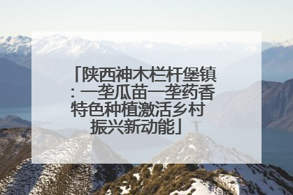 陕西神木栏杆堡镇：一垄瓜苗一垄药香 特色种植激活乡村振兴新动能