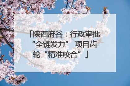 陕西府谷：行政审批“全链发力” 项目齿轮“精准咬合”